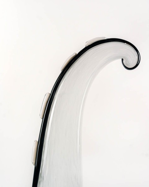 Cotukinonwu Collectible Design