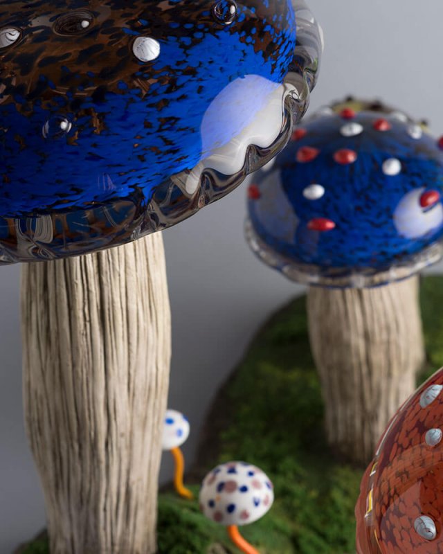 prev-mushroom-forest.jpg mushroom-forest-01.jpg mushroom-forest-02.jpg mushroom-forest-03.jpg mushroom-forest.jpg